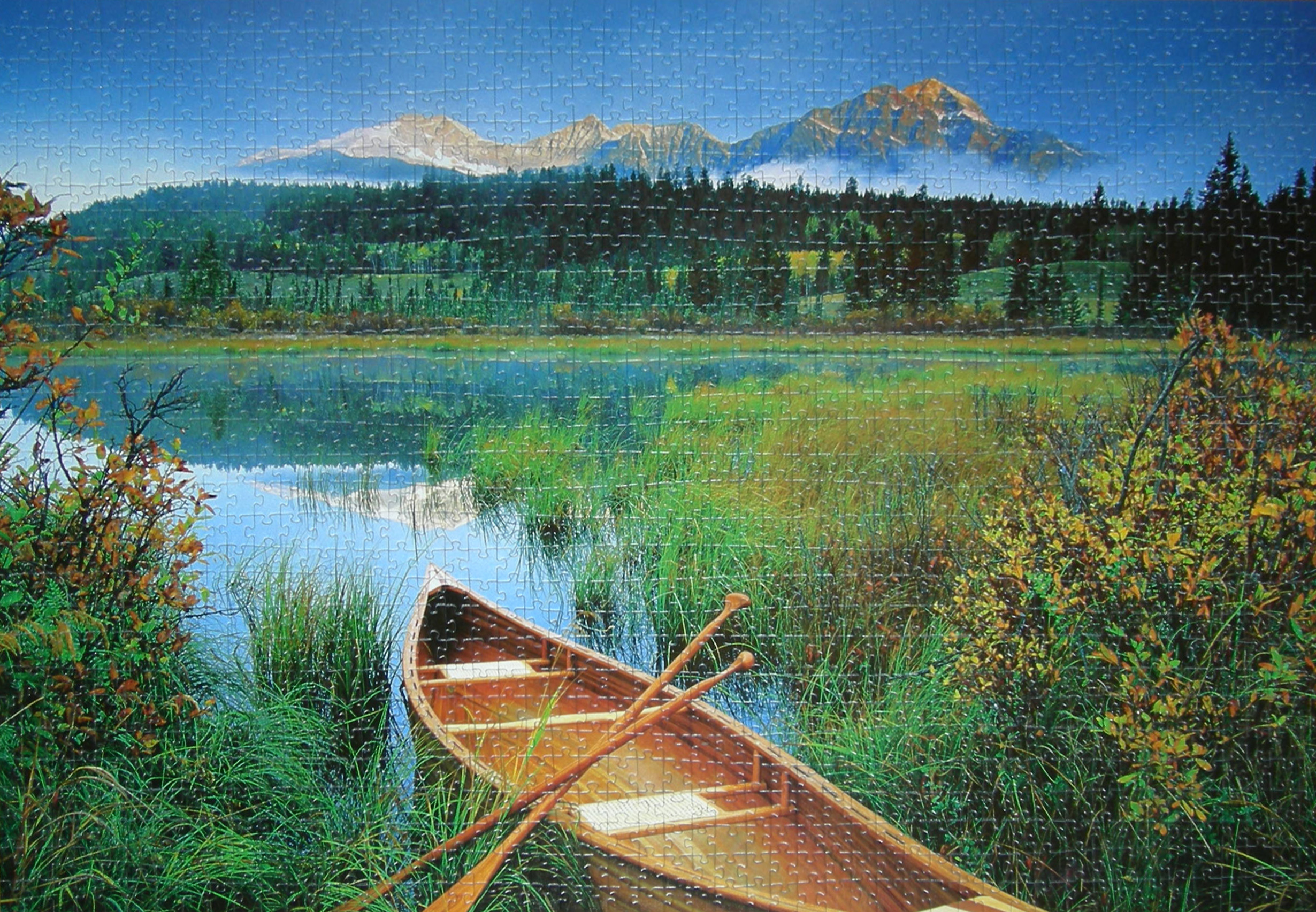 Лодка 1500 Трефл.jpg