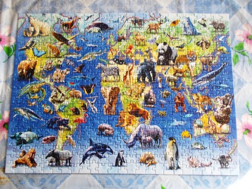 Животные Красной книги, Равенс, 500.JPG