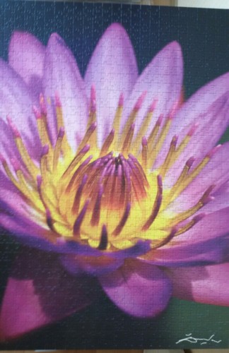 2014-10-30 09.17.13.jpg