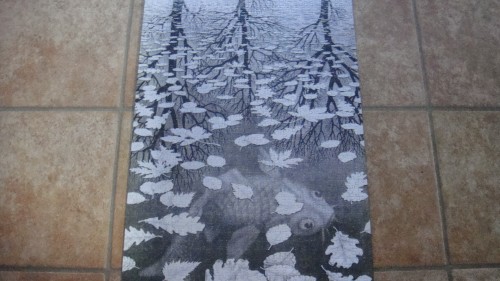 DSC07725.JPG (829.61 КБ) 2243 просмотра DSC07725.JPG