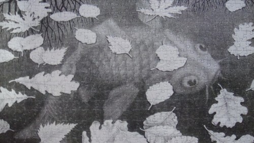 DSC07726.JPG (825.92 КБ) 2244 просмотра DSC07726.JPG