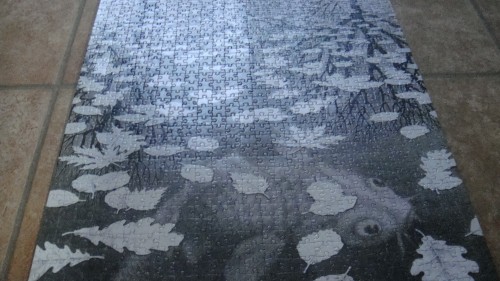 DSC07727.JPG (833.97 КБ) 2242 просмотра DSC07727.JPG