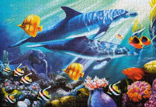 Underwater World # Подводный мир,1500(С-150540).jpg (930.97 КБ) 1340 просмотров Underwater World # Подводный мир,1500(С-150540).jpg