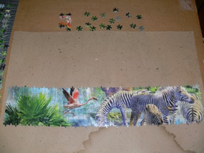 P1050711 modified.jpg