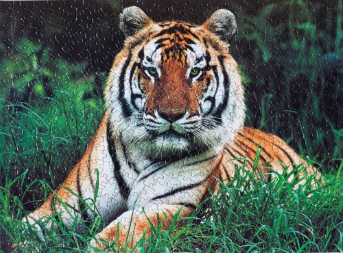 1.jpg (1.05 МБ) 1467 просмотров 1.jpg