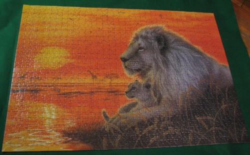 African Evening by Kentaro Nishino, 1000 (192106).JPG