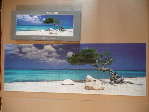 P1010600_small.jpg