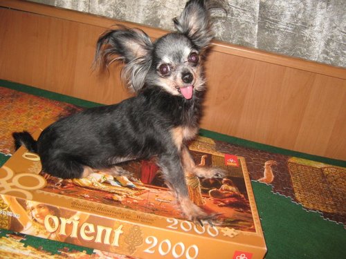 11-Масяня и Гарем.jpg