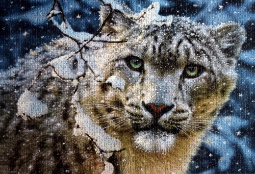 Castorland. Snow leopard 1500.jpg