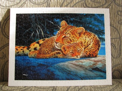 Леопарды  300.JPG