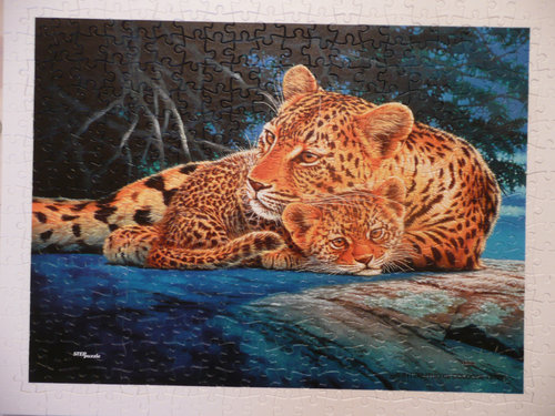 Леопарды Plastic.jpg