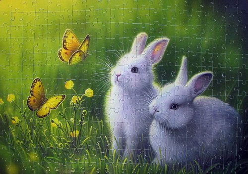 на лугу 260 степ.jpg