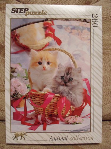 котята.JPG