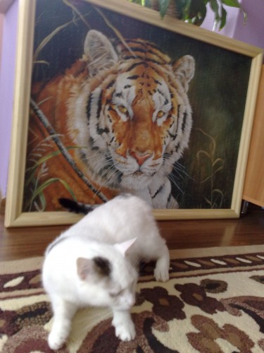 010420101153.jpg