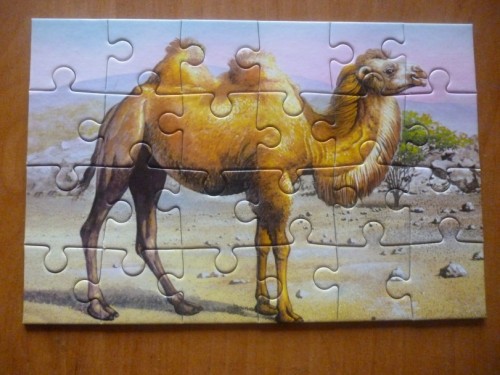 P1020291_811x608.jpg