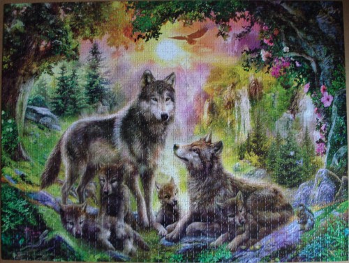 Волки.jpg.JPG
