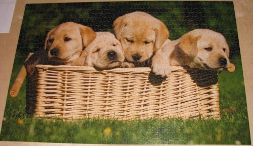Dogs in a Basket%2C 1500 %2881140B%29 - 1.JPG