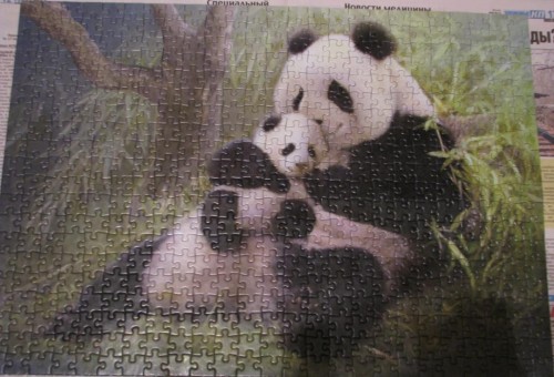 Cuddling Pandas%2C 500 %2801587%29.JPG