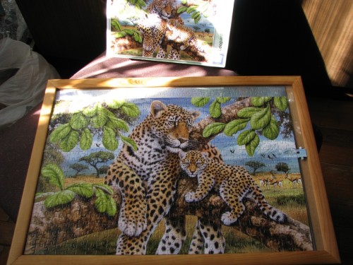 Leopard and Cub, 500 (4524).JPG