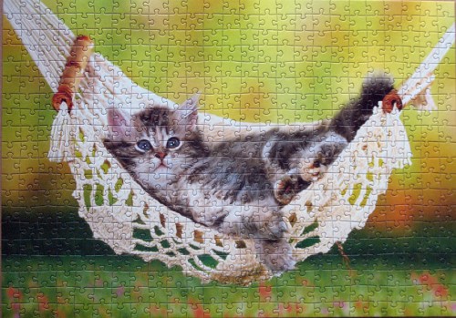 hammock.jpg