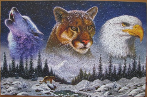 Generals of the Forest, 1000 (65310).JPG (163.96 КБ) 6296 просмотров Generals of the Forest, 1000 (65310).JPG