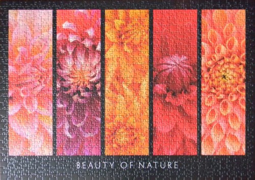 Ravensburger-1000-Beauty of Nature-19046.JPG