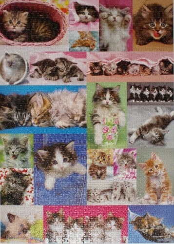 Kitten Collage %281000%2C Educa%29_mini.JPG