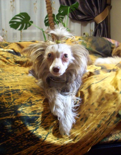 DSCN7965.jpg